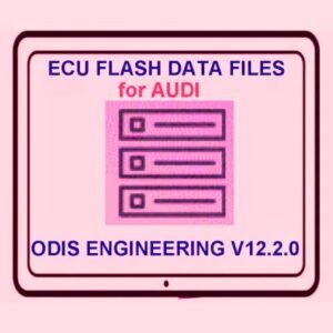 AUDI Flashdaten ECU Firmware Flash Data Files ODIS Engineering
