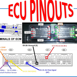 Toyota Lexus Denso ECU Pinout Free for All